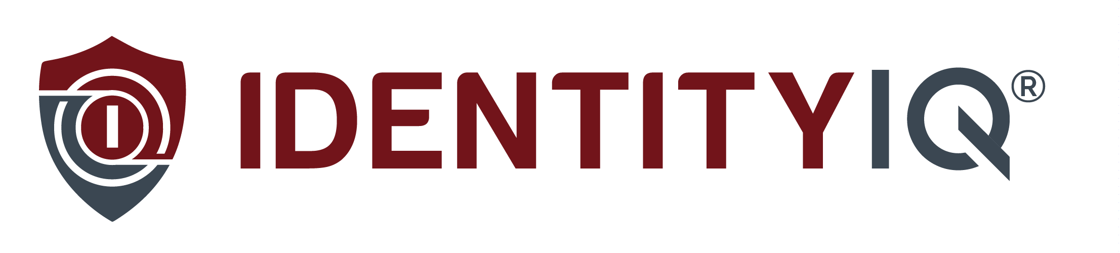 IdentityIQ