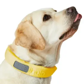 Halo Collar: Sign Up with Email and Unlock $25 OFF