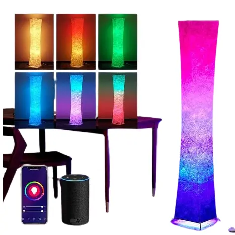 Chiphy Floor Lamp, Rgb Color Changing Dimmable LED Lamp