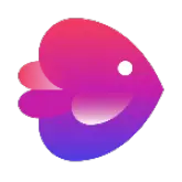 InVideo折扣码 & 打折促销