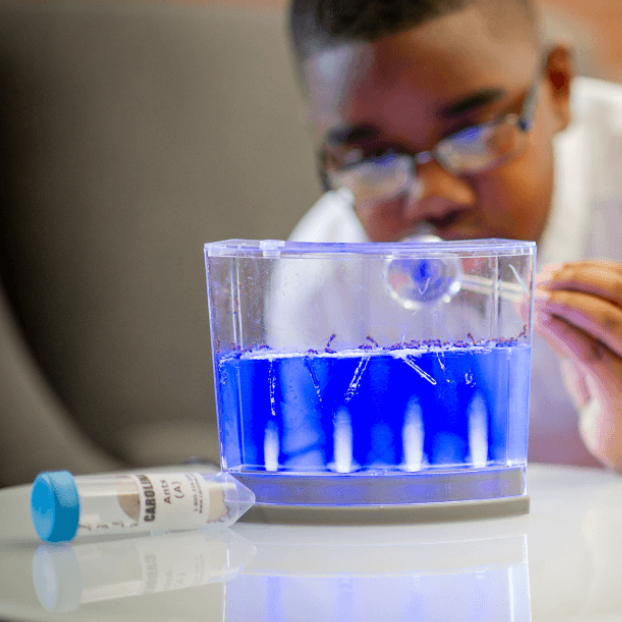 Carolina：一站式满足您的教学和实验需求