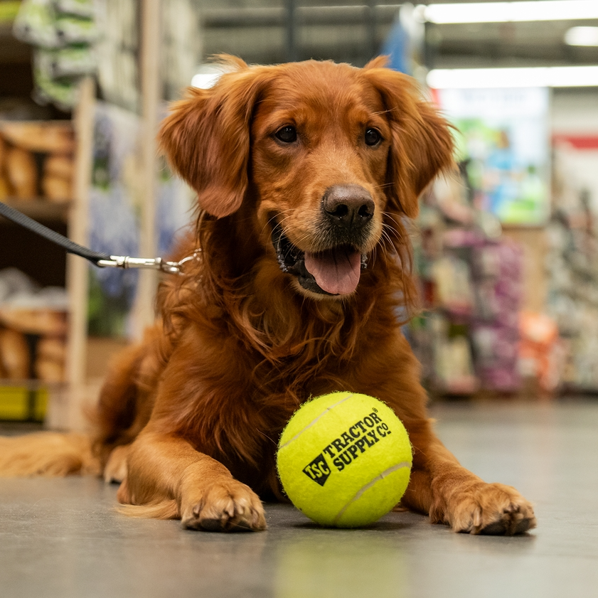 Tractor Supply：精选百货热卖 开通TBC信用卡至高享$50返现