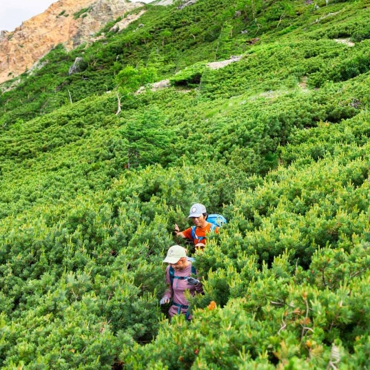 Patagonia：新季上新热卖 Torrentshell 3L 灰色夹克外套$179