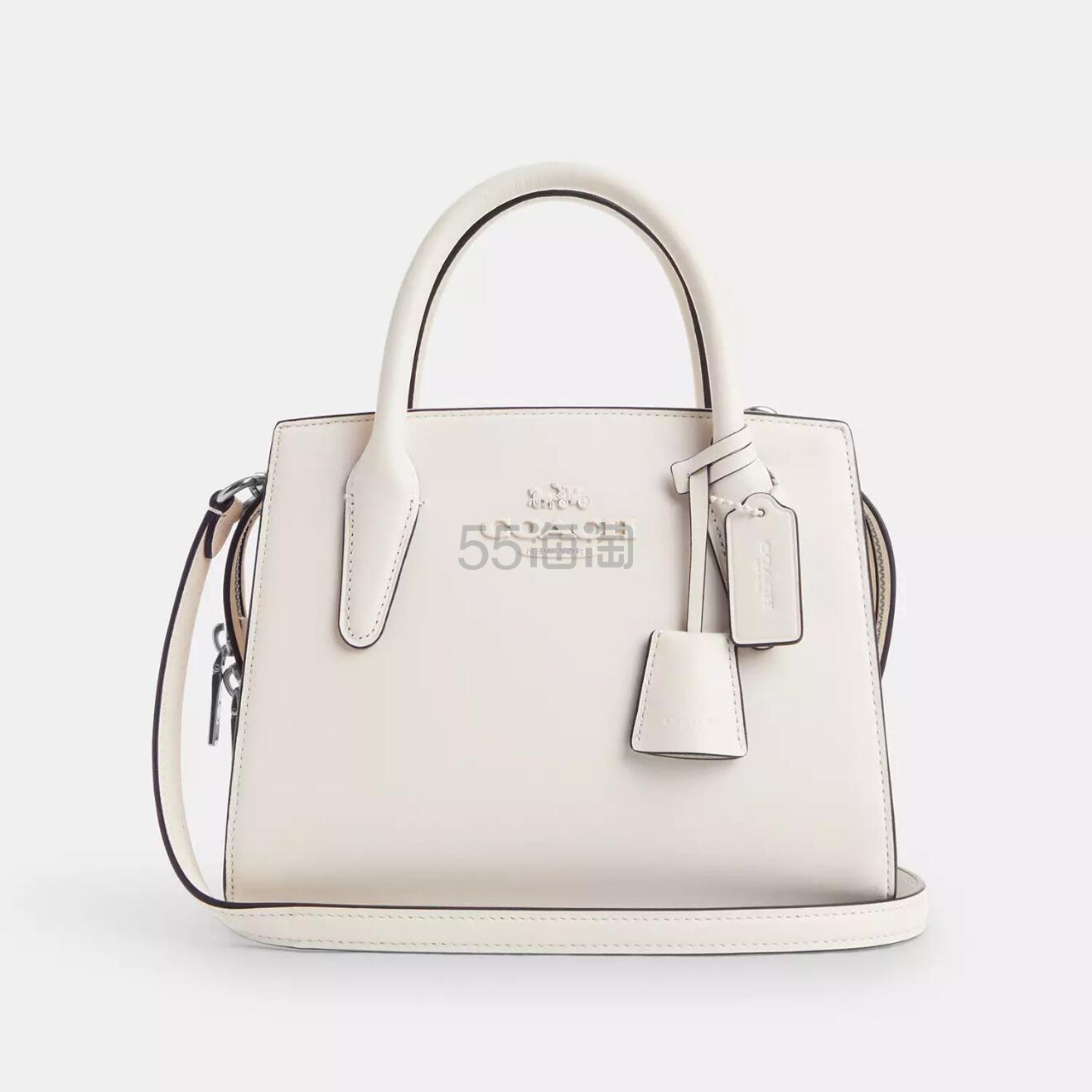 Coach 蔻驰 Andrea Carryall 手提包