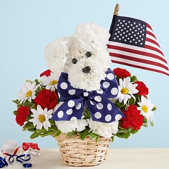 1800flowers.com：精美花束纪念日大促 洋基队小狗花束可可爱爱