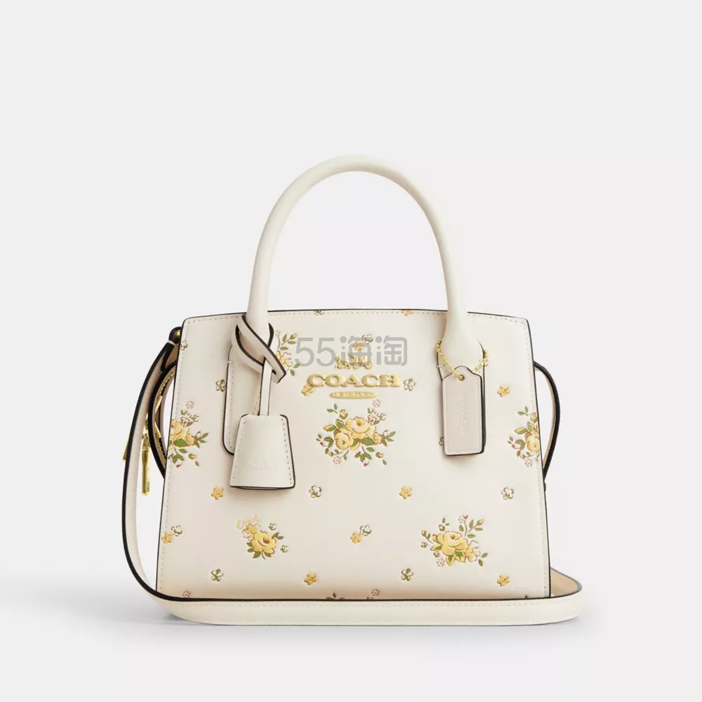 Coach andrea carryall 蔻驰托特包