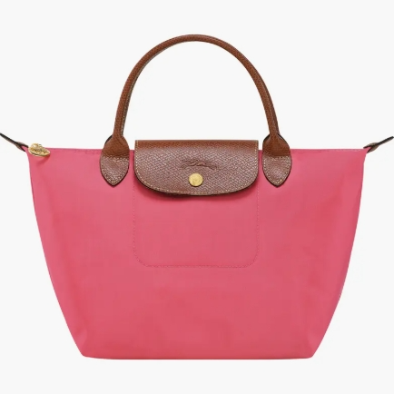 Longchamp 小号饺子包