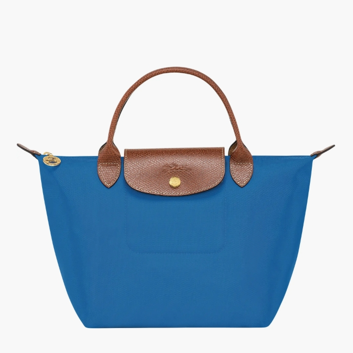 Longchamp  小号饺子包