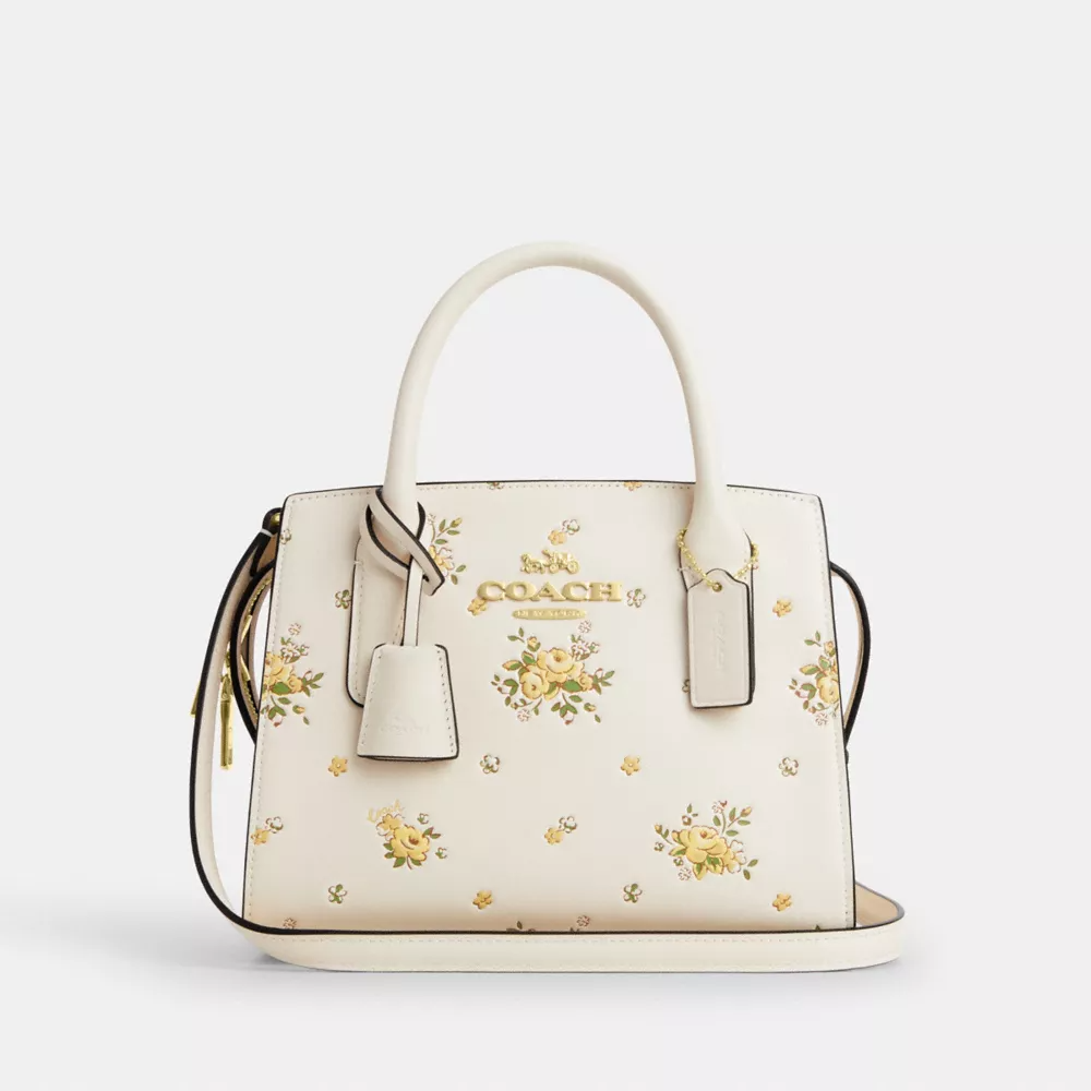 Coach andrea carryall 蔻驰托特包