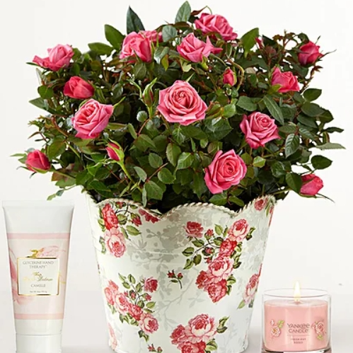 1800flowers.com：玫瑰月精选花束热卖