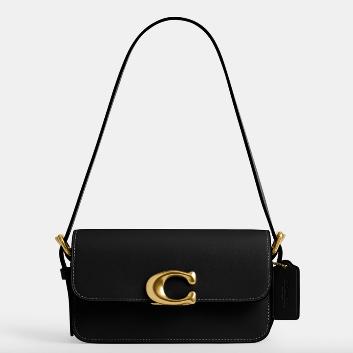 Coach Zoe Leather 腋下包