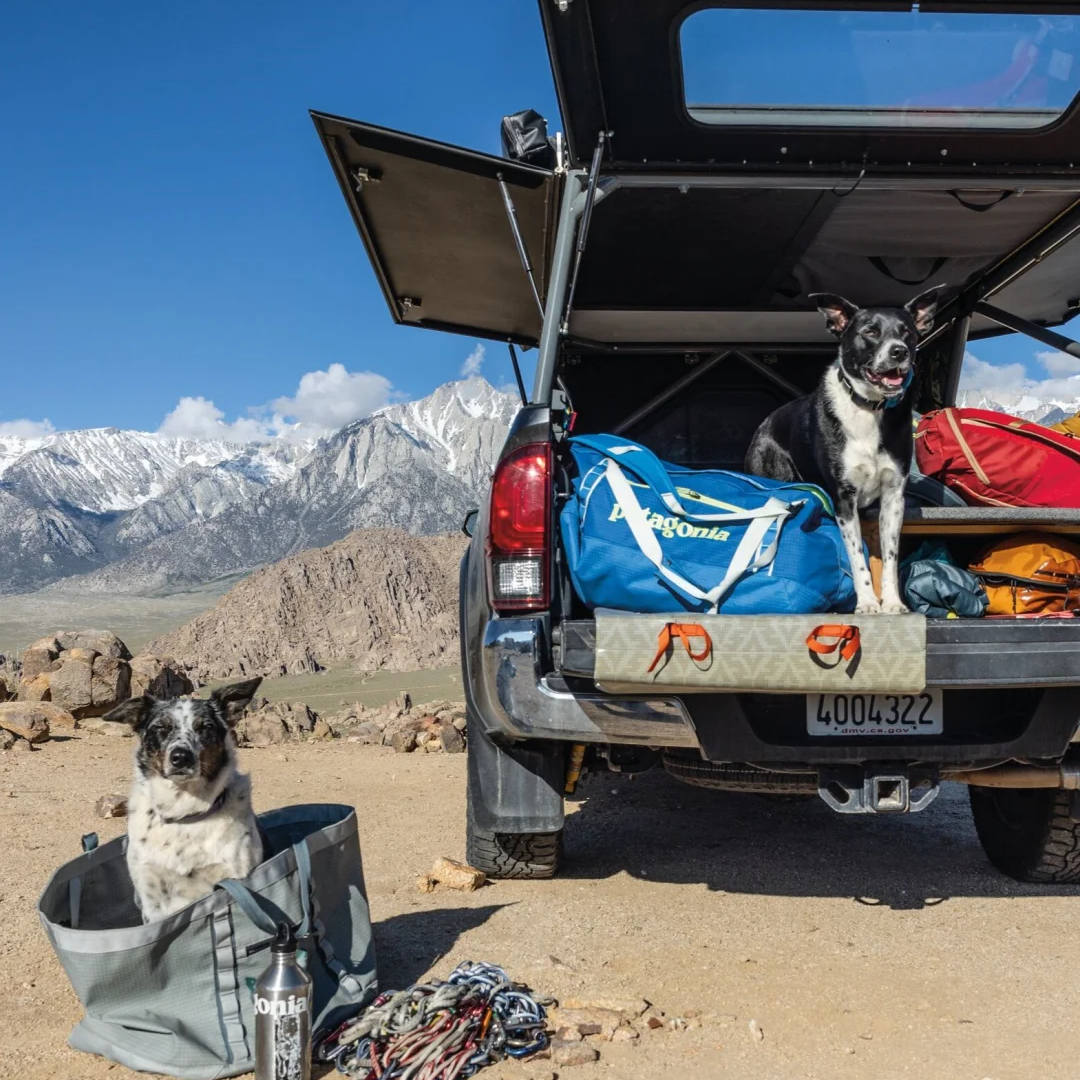 Patagonia：热门户外单品推荐，部分款式低至7折