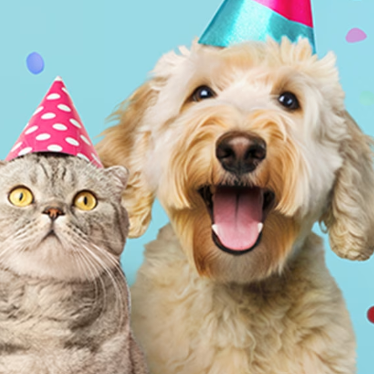 Petco：周年庆！爱宠快乐商超 狗粮、猫粮、猫砂、玩具等