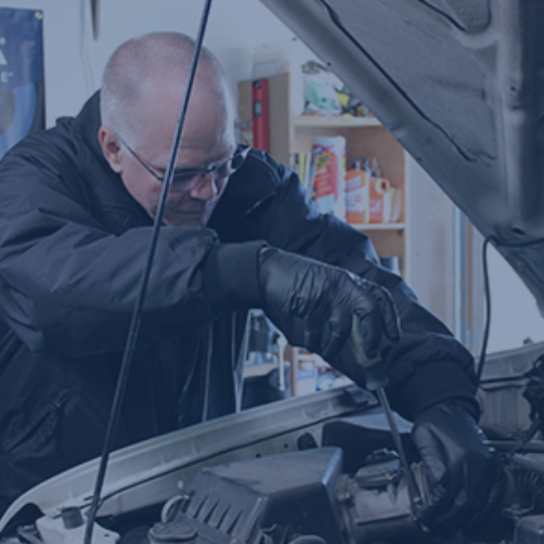 ALLDATAdiy：订阅套装$19.99起