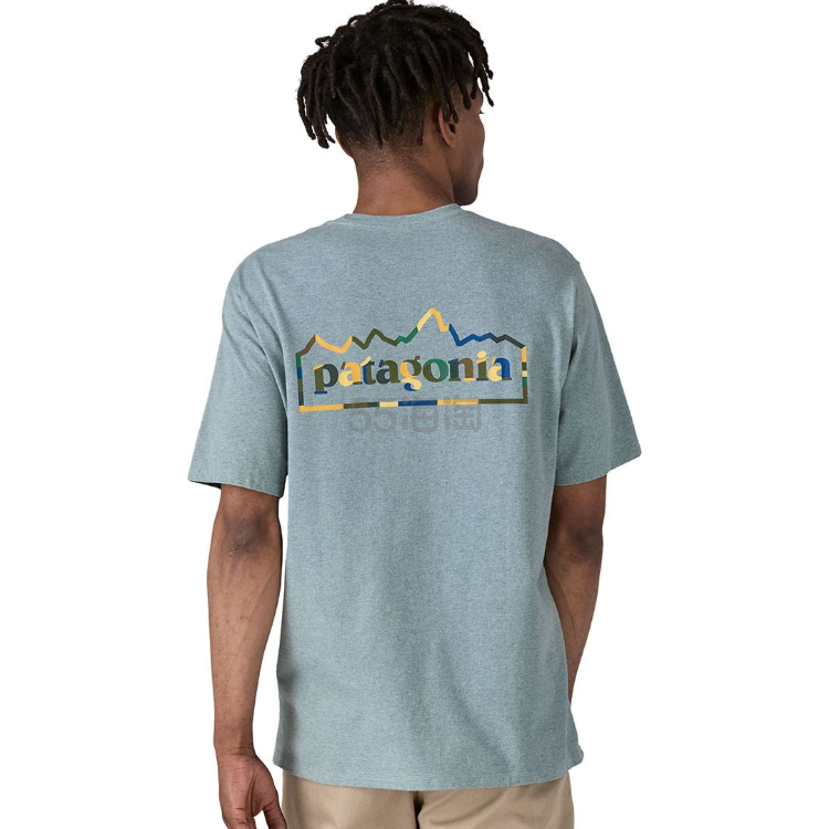 Patagonia 巴塔哥尼亚Logo印花短袖
