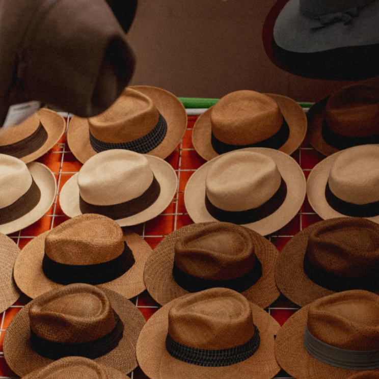 Eric Javits：折扣区低至3折