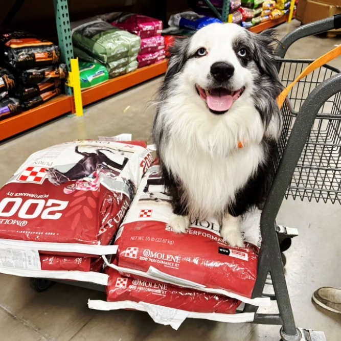 Tractor Supply：本周热卖精选 入手各类服饰、家用好物等