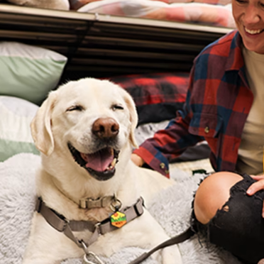 Petco：爱宠快乐商超 全场大促 选购猫砂、狗粮、玩具等