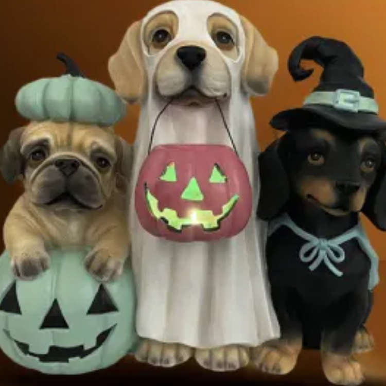 Bealls Florida：万圣节热品畅销中