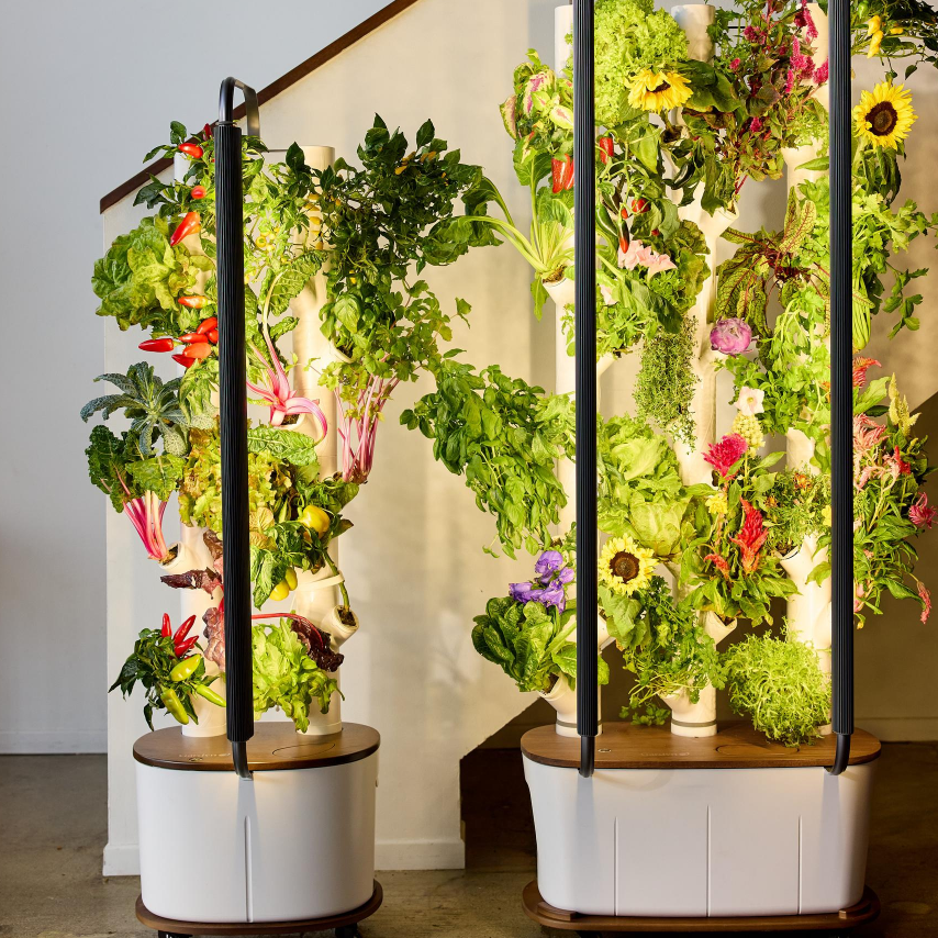 Gardyn：2025网一大促！创新室内园艺系统无门槛7.5折