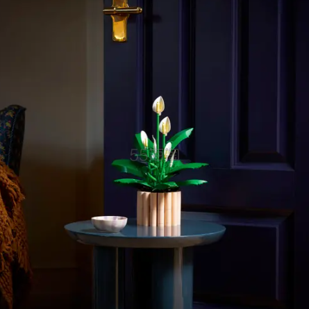 预告！LEGO UK：新年家里开满花 花植添新