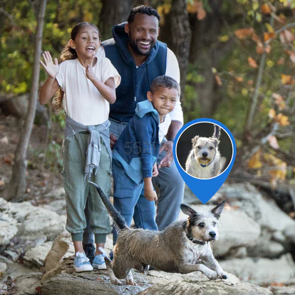 上新！PetSafe.net：Guardian GPS 2.0 宠物狗GPS 电子围栏项圈