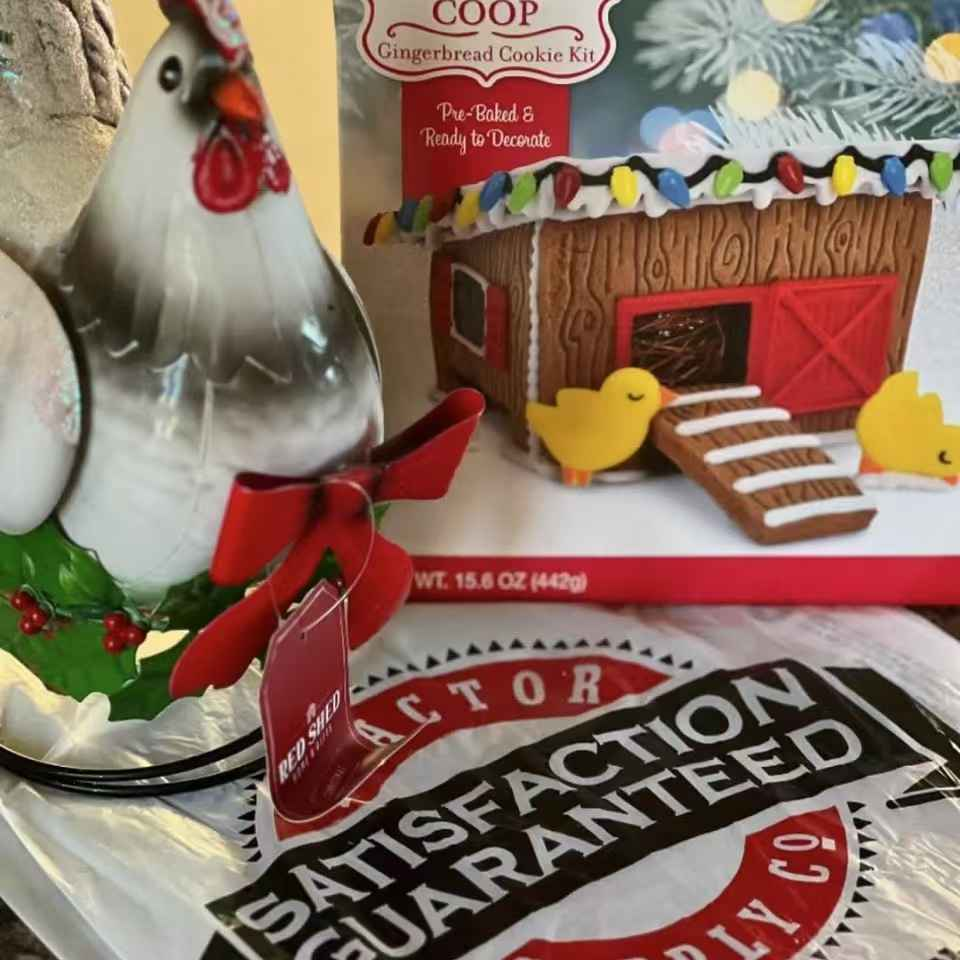 【2025网一】Tractor Supply：精选百货热卖