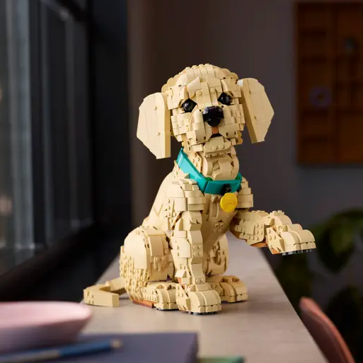 预售！Lego 11384 金毛幼犬 | ICONS