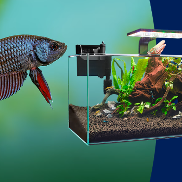 Petco：活动汇总！精选犬猫零食买3件享8折