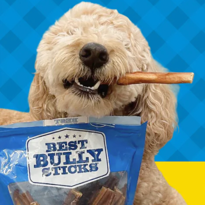 Best Bully Sticks：首次订阅享8折