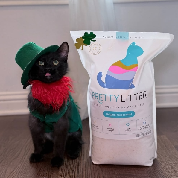 Pretty Litter：全新智能猫砂热卖 检测咪咪健康