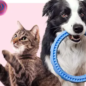 zooplus ES：宠物日用品专场促销