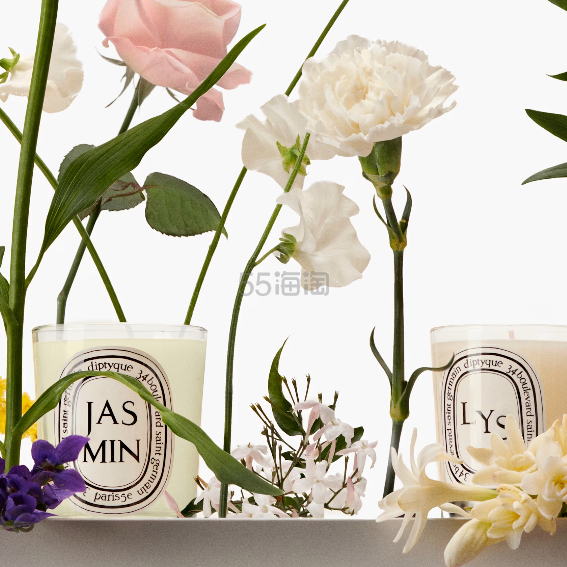 Diptyque：春日香氛热卖！入玫瑰、茉莉等花香蜡烛
