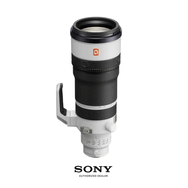 Sony 索尼 FE 100-400mm f/4.5 GM OSS 镜头