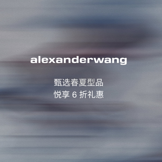 大 I.T:alexanderwang 甄选春夏型品