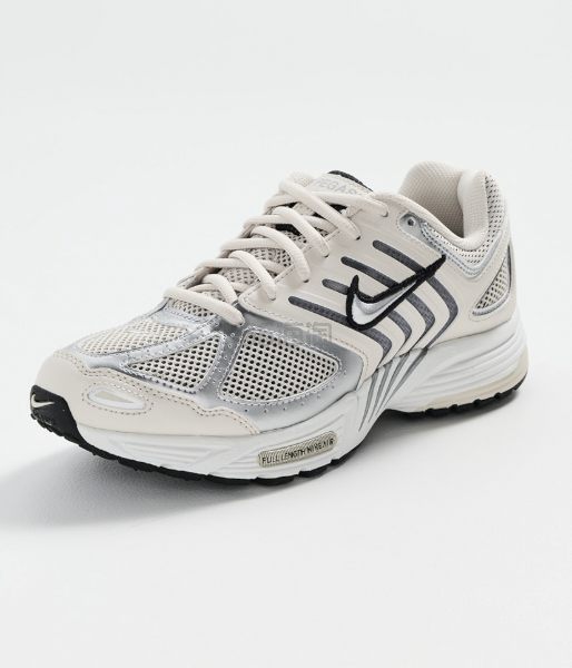 Nike Air Pegasus 2005 球鞋