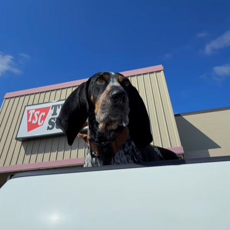 Tractor Supply：父亲节送礼指南 精选商品热卖