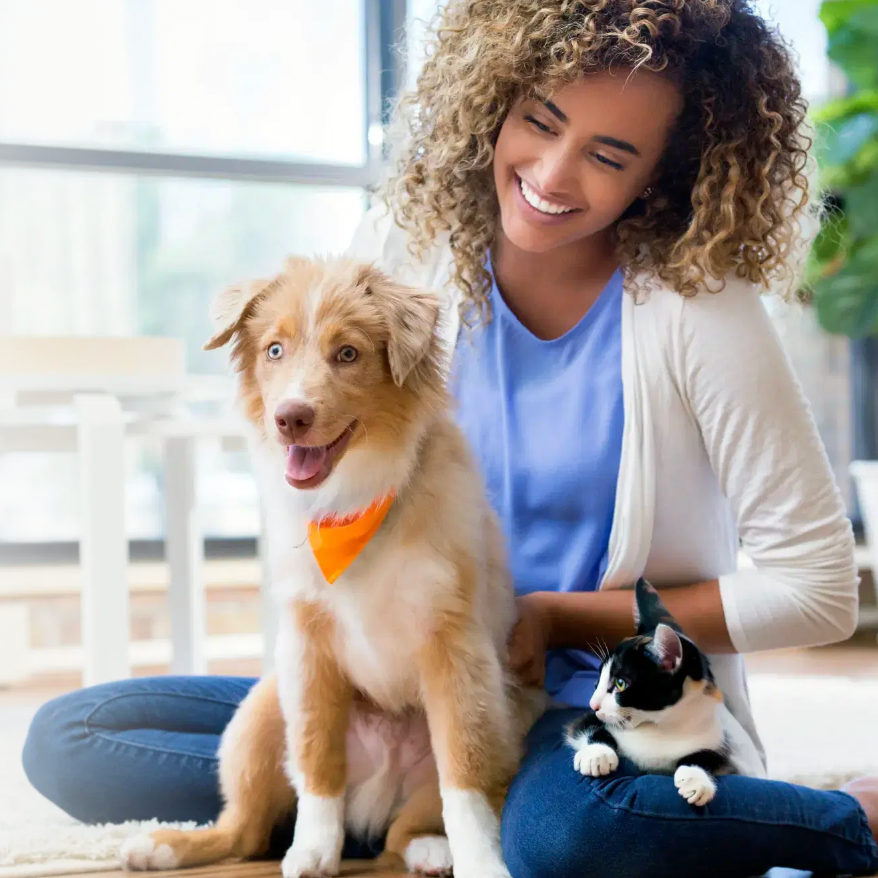 Pet Supermarket：Hill's Science Diet 宠物食品促销