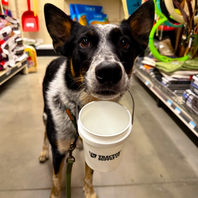 Tractor Supply：夏季折扣大促 本周精选