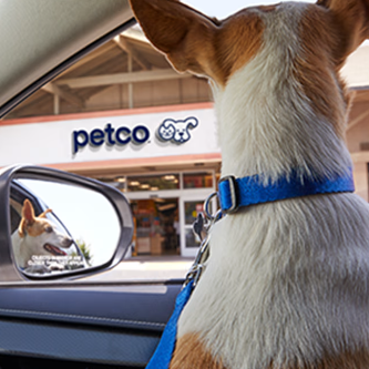 Petco：线上买门店自提 宠物用品促销