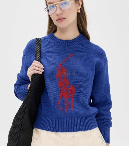 Polo Ralph Lauren Logo 针织毛衣