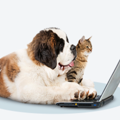 Pet Supermarket：9月宠物好物特惠