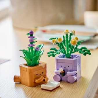 预告！LEGO 花植系再添小可爱 🌿 温馨盆栽