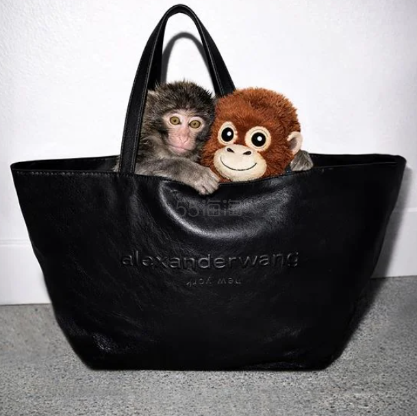 张予曦同款小号!Alexander Wang Punch 托特