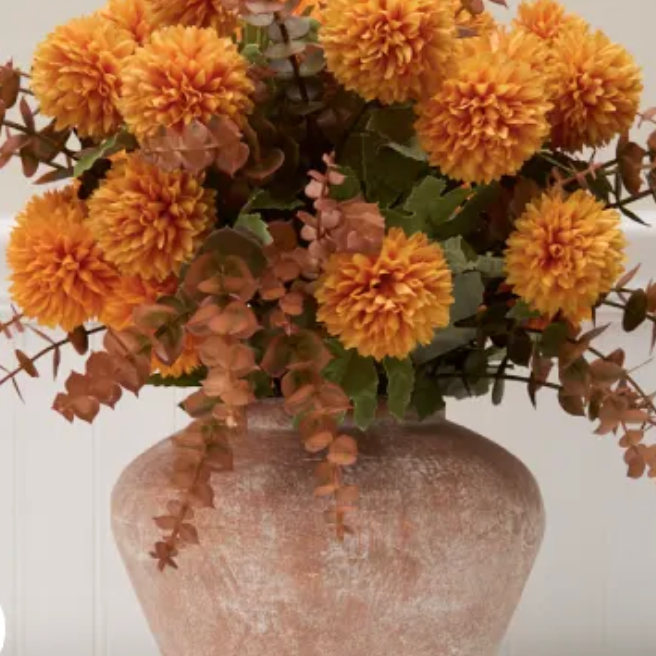 Bealls Florida：Harvest系列低至 $12.99 起