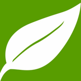 Natural Healthy Concepts